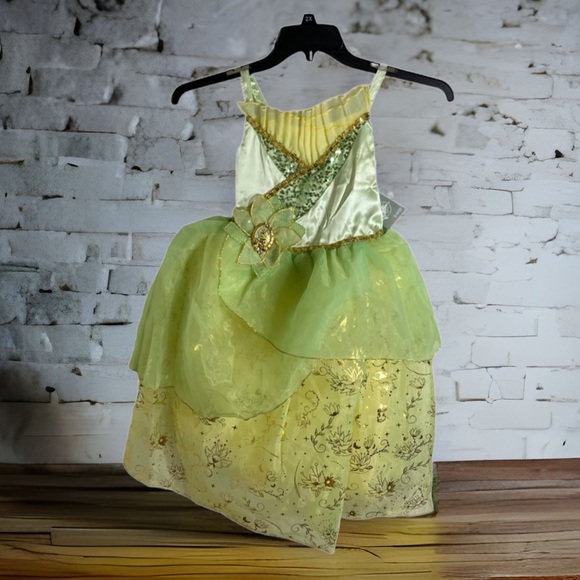 open lace back dress Disney Princess and the Frog Tiana Costume for Women - Disney Princess  Cosplay Dress for Adults XS : Clothing, Shoes & Jewelry